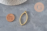 Colgante gota oblonga acero inoxidable 304 dorado IP sin fondo 38mm, x1 (G11252)