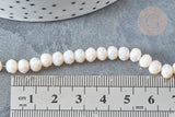 Perle Rondelle verre opaque crème 6x4~5mm, bracelet, le fil de 39cm, x1 (G7814)