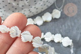Perle Saint-Jacques nacre blanche naturelle 9,5~10mm, coquillage naturel, fil de 42cm, x1 (G7839)