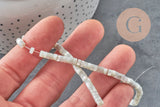 EP-perle nacre naturelle heishi gris pastel,tube coquillage coloré,perle coquillage, 2x4mm, le fil de 185 perles G4769-Perles-Gingerlily Perles