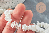 Perles chips coquillage naturel 6~12mm, x1 fil de 41cm (G3867)