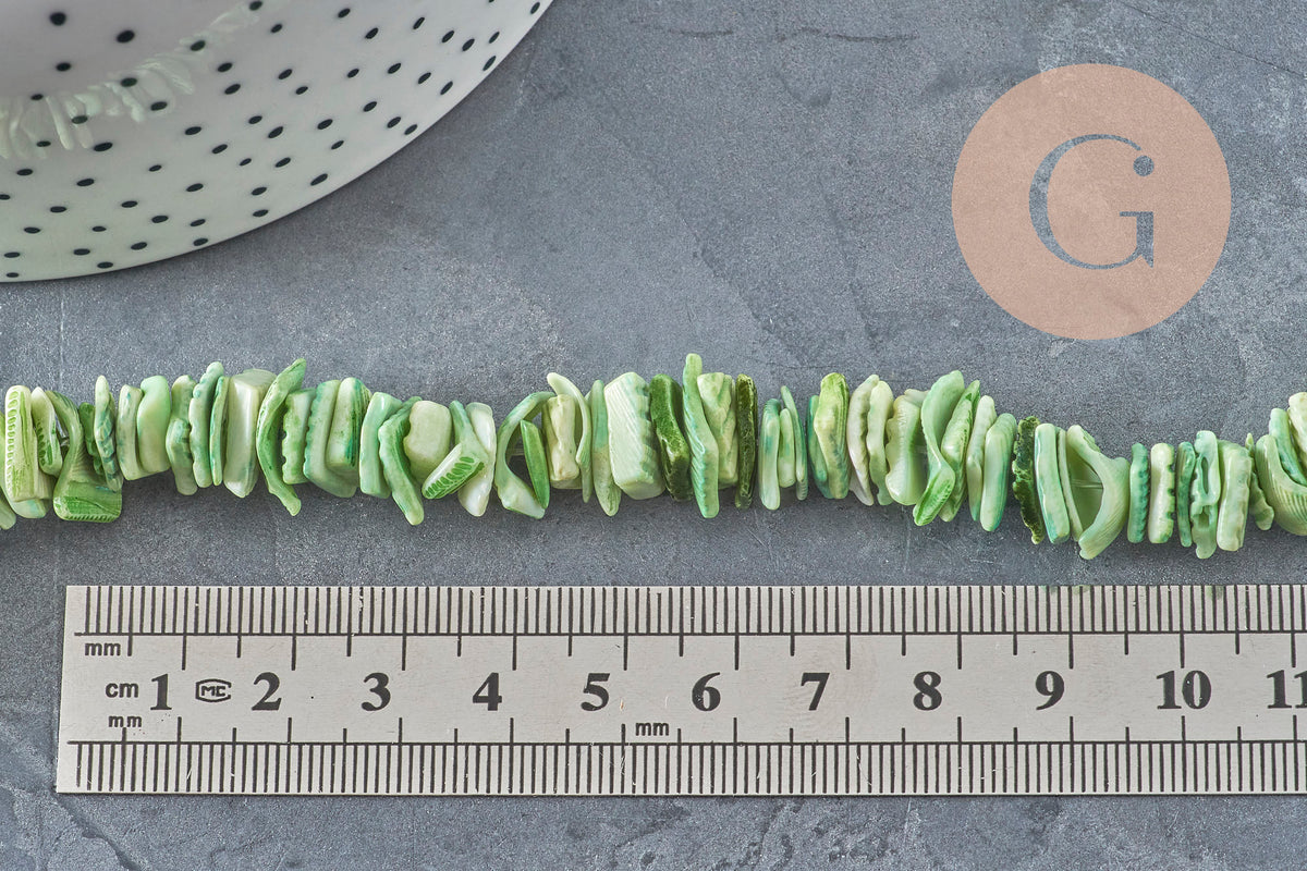 Fil de perles chips coquillage naturel coloré vert clair, 10-20mm, sur fond gris avec règle.