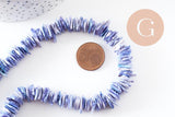 Perles chips coquillage naturel coloré 10-20mm, x1 fil de 38cm (G4074)