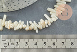 Perles en corail blancnaturel 3-12mm, x1 fil 40cm (G0985)