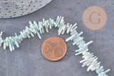 Perles en corail turquoise,perles corail, corail naturel,perle coquillage,coquillage bleu, fil 38cm x1 (G0987)