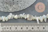 Perles nuggets pierre de lune 5-8mm, x1 fil de 80cm (G5495)