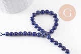Perles rondes lapis lazuli naturel 6mm, x1 fil de 20cm (G4069)