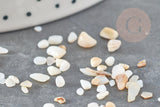 Sable chips coquillage nacre naturelle beige blanc 2-5mm non percé, x20gr (G9309)
