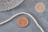 Cordon satiné torsadé beige de 3 mm en nylon, présenté à côté d'une pièce de 5 centimes pour l'échelle.