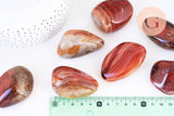 Pierre agate sardonyx naturelle roulée 45-66mm, pierre orange naturelle litotherapie, x1 (G5782)